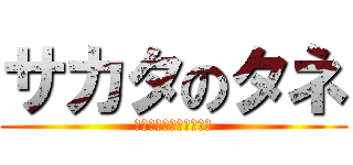 サカタのタネ (ひまわりとチューリップ)