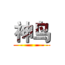 神鸟 ()