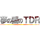 夢の国のＴＤＲ (yabai)