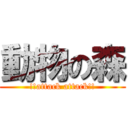 動物の森 (!!attack attack!!)