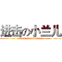 进击の小兰儿 (attack on xiaolaner)