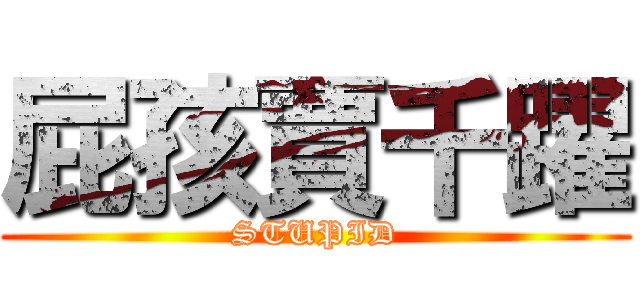 屁孩賈千躍 (STUPID)