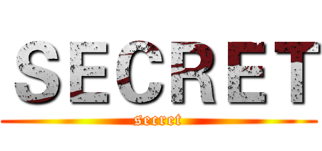 ＳＥＣＲＥＴ (secret)