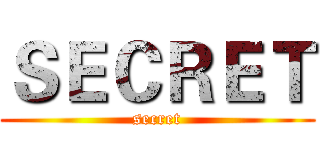 ＳＥＣＲＥＴ (secret)