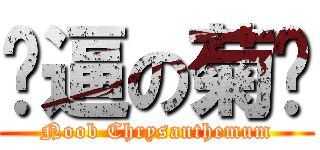 傻逼の菊长 (Noob Chrysanthemum)