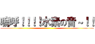 嗚呼！！！！水素の音～！！ ()