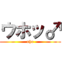 ウホッ♂ (uho)