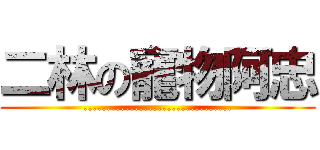 二林の寵物阿忠 (................................)
