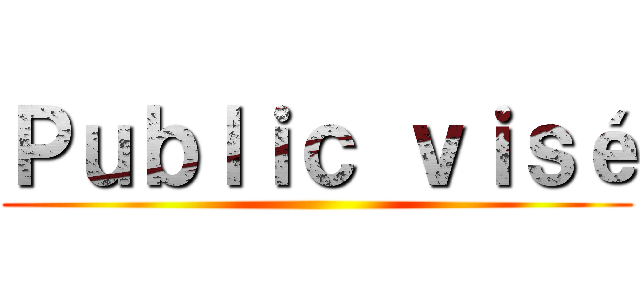 Ｐｕｂｌｉｃ ｖｉｓé ()