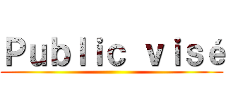 Ｐｕｂｌｉｃ ｖｉｓé ()