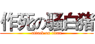 作死の骚白猪 (attack on titan)