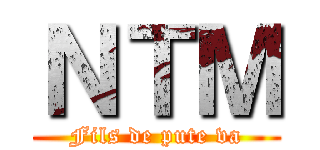 ＮＴＭ (Fils de pute va)