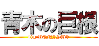 青木の巨根 (big PENISHI)