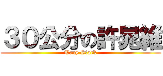 ３０公分の許晁維 (Tony Stark)