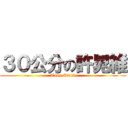 ３０公分の許晁維 (Tony Stark)