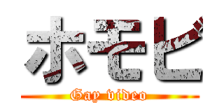 ホモビ (Gay video)