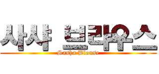 사샤 브라우스 (Sasha Blouse)