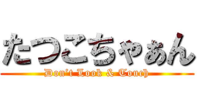 たつこちゃぁん (Don’t Look & Touch)