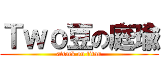 Ｔｗｏ豆の庭瑜 (attack on titan)