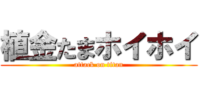 植金たまホイホイ (attack on titan)