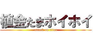 植金たまホイホイ (attack on titan)