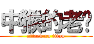 中猴的老貓 (attack on titan)