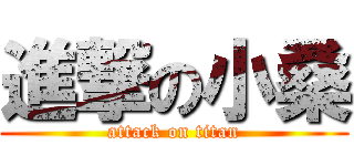 進撃の小桑 (attack on titan)