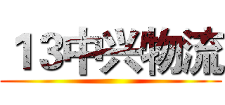 １３中兴物流 ()
