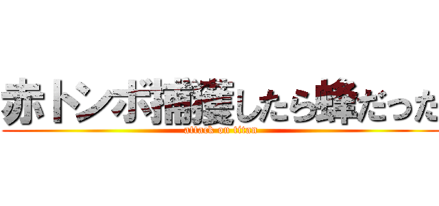 赤トンボ捕獲したら蜂だった (attack on titan)