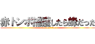 赤トンボ捕獲したら蜂だった (attack on titan)