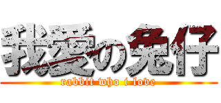 我愛の兔仔 (rabbit who i love)