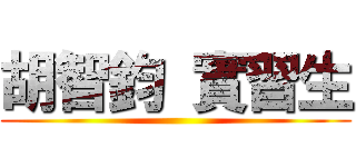 胡智鈞 實習生 ()