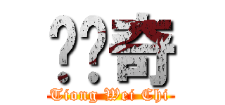 张伟奇 (Tiong Wei Chi)