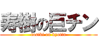 寿樹の巨チン (tosiki on kyotin)