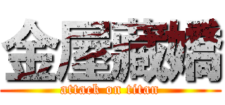 金屋藏嬌 (attack on titan)