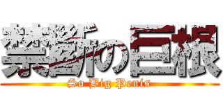禁斷の巨根 (So Big Penis)