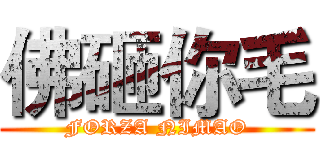 佛砸你毛 (FORZA NIMAO)