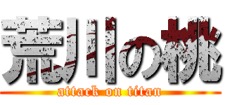 荒川の桃 (attack on titan)