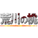 荒川の桃 (attack on titan)