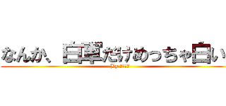 なんか、白軍だけめっちゃ白いね (By 田中千秋)