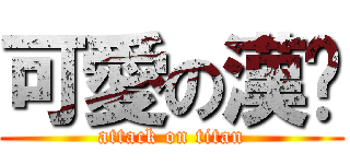 可愛の漢鑫 (attack on titan)