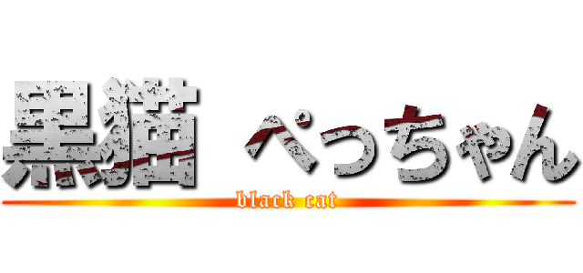 黒猫 ぺっちゃん (black cat)