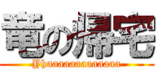 竜の帰宅 (Yhaaaaaaaaaaaaa)