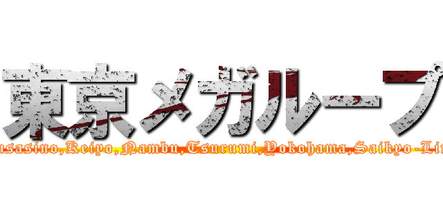 東京メガループ (Musasino,Keiyo,Nambu,Tsurumi,Yokohama,Saikyo-Line)