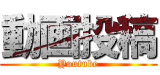 動画投稿 (Youtube)