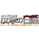 反撃の白熊 (C-attack on whitebear)