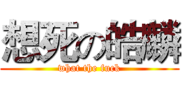 想死の皓麟 (what the fuck)