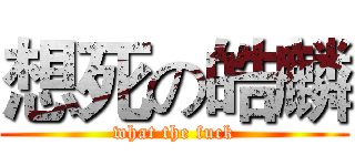 想死の皓麟 (what the fuck)