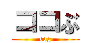 ココぶ (dog)
