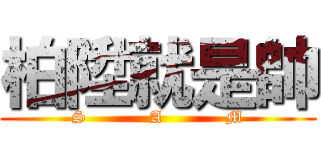 柏陞就是帥 (S           A           M)